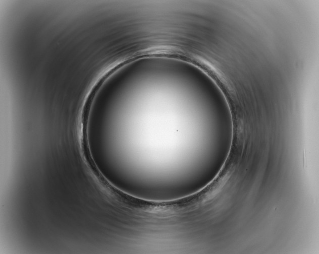 X0000095131418200712211321