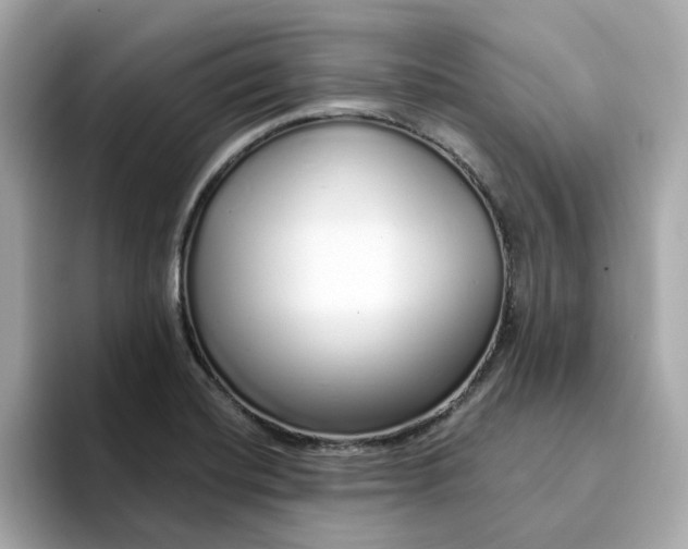 X0000095131420200712211321