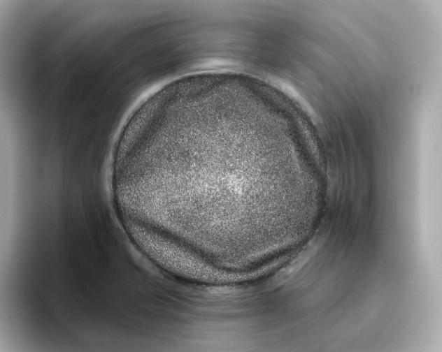 X0000095131421200712211321