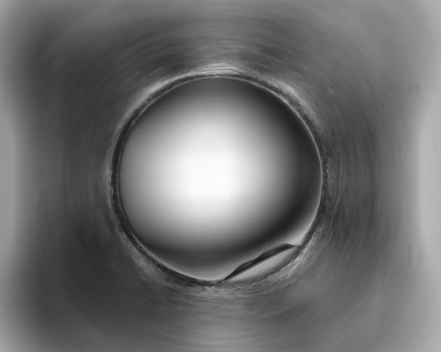 X0000095131422200712211321