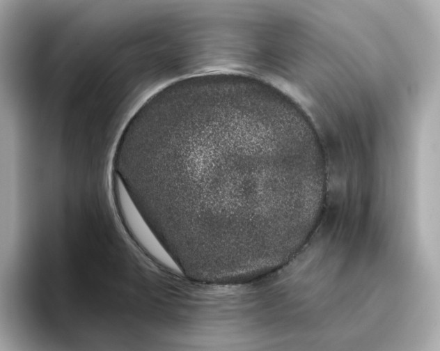 X0000095131423200712211321