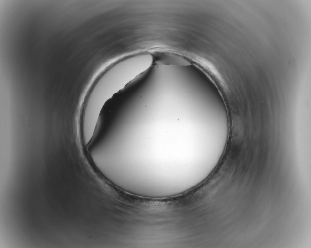 X0000095131424200712211321