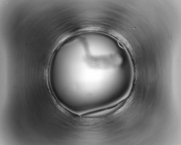 X0000095131425200712211321