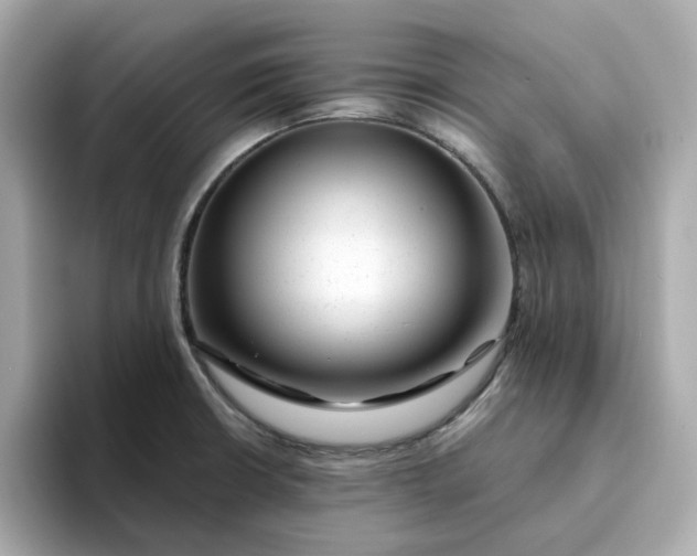 X0000095131426200712211321