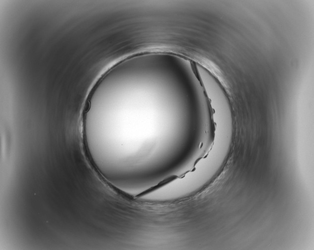 X0000095131428200712211321