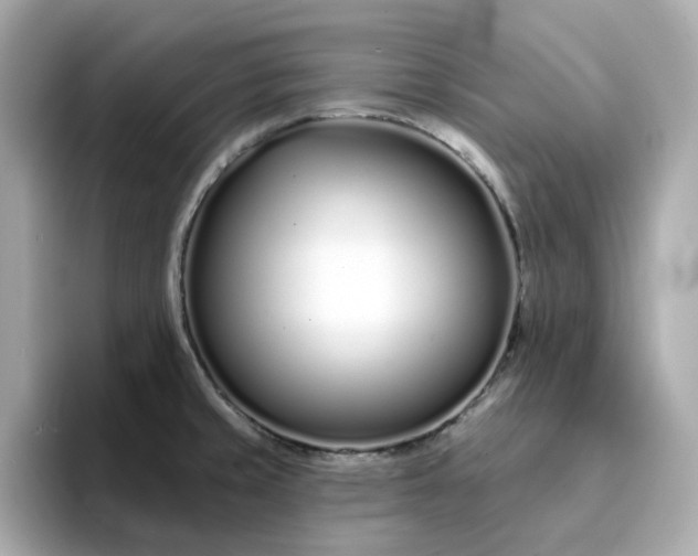 X0000095131429200712211321