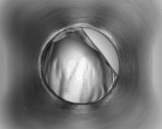 X0000095131430200712211321