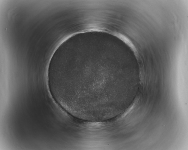 X0000095131431200712211321