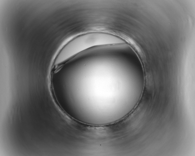 X0000095131432200712211321