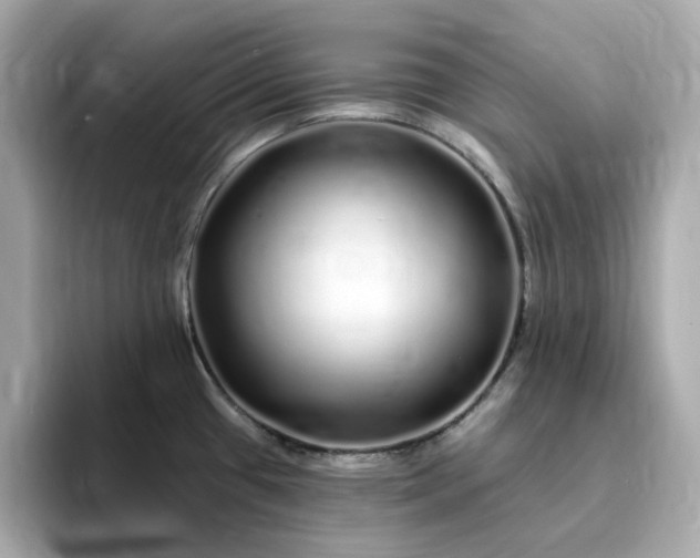 X0000095131433200712211321