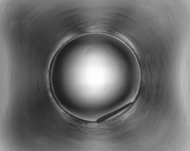 X0000095131434200712211321