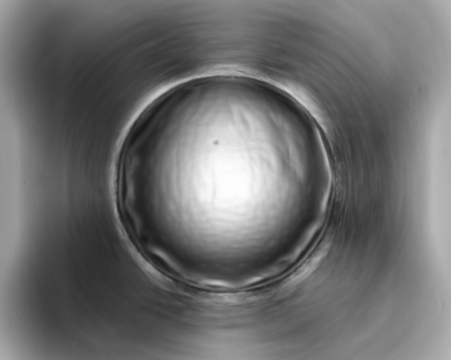 X0000095131438200712211321