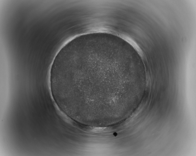 X0000095131439200712211321