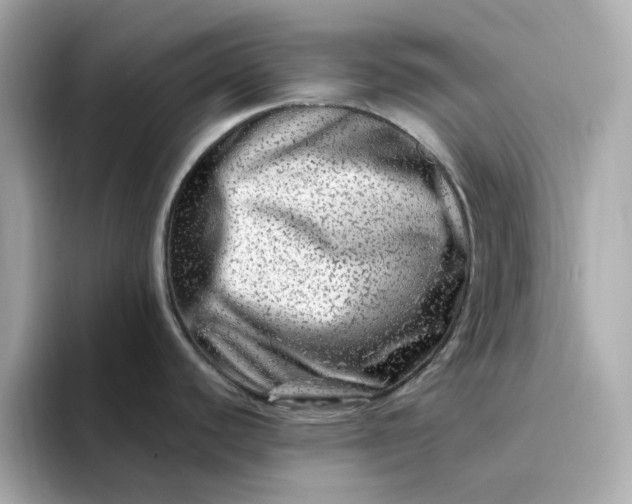 X0000095131440200712211321