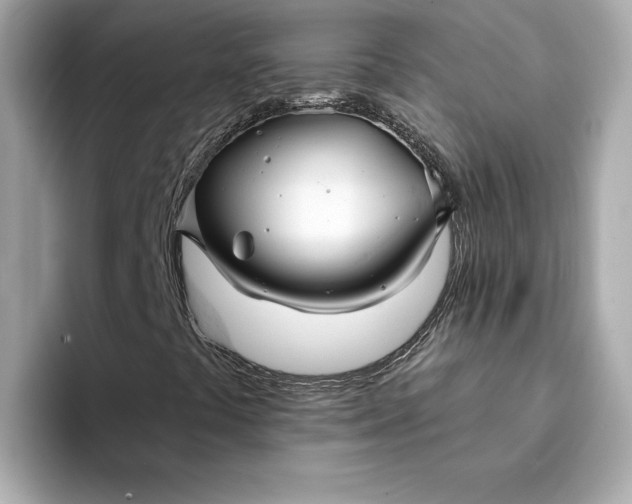 X0000095131441200712211320