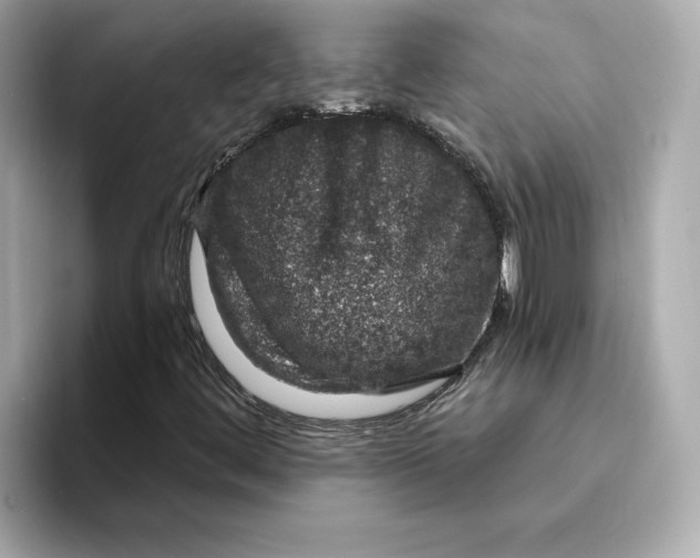 X0000095131444200712211320