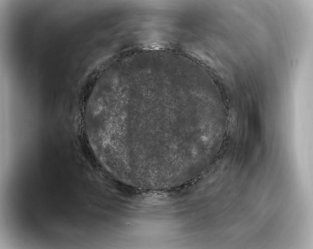 X0000095131446200712211320