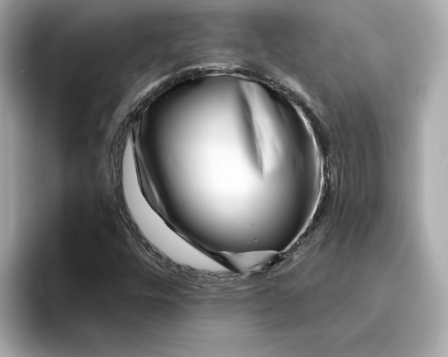 X0000095131448200712211320