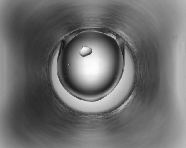 X0000095131449200712211320