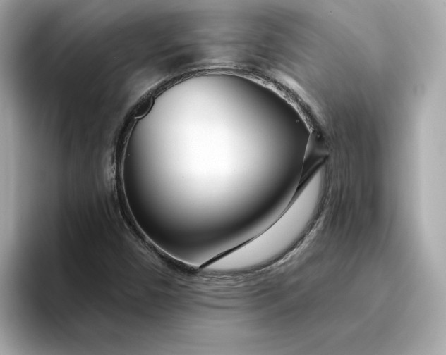 X0000095131450200712211320