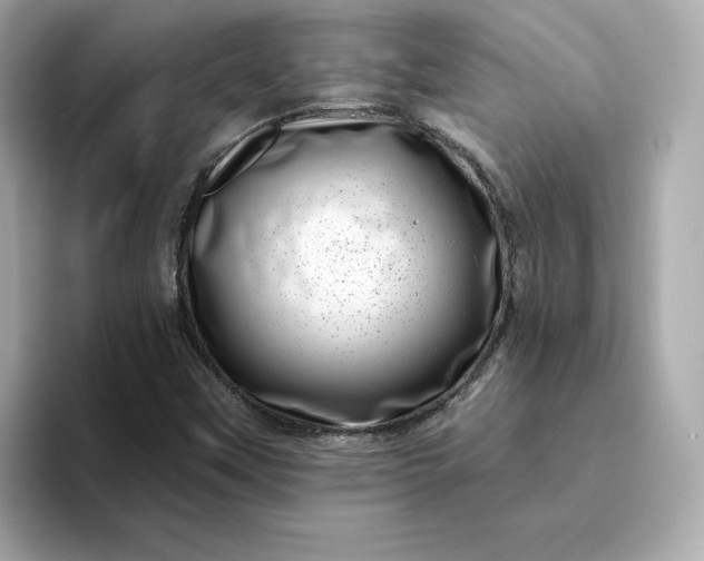 X0000095131451200712211320