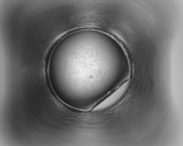 X0000095131452200712211320