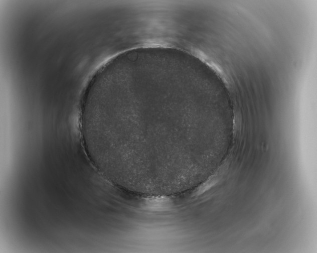 X0000095131454200712211320