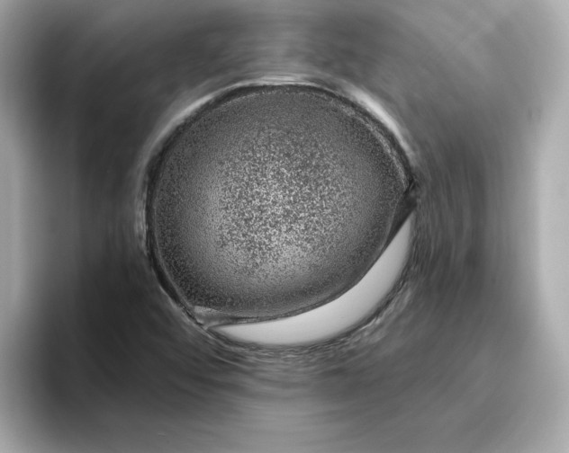 X0000095131456200712211320