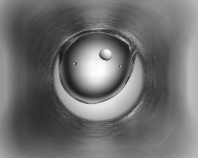 X0000095131457200712211320