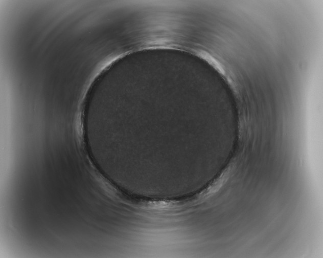 X0000095131458200712211320