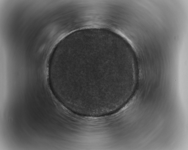 X0000095131459200712211320