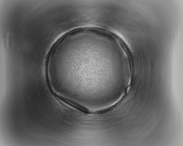 X0000095131460200712211320