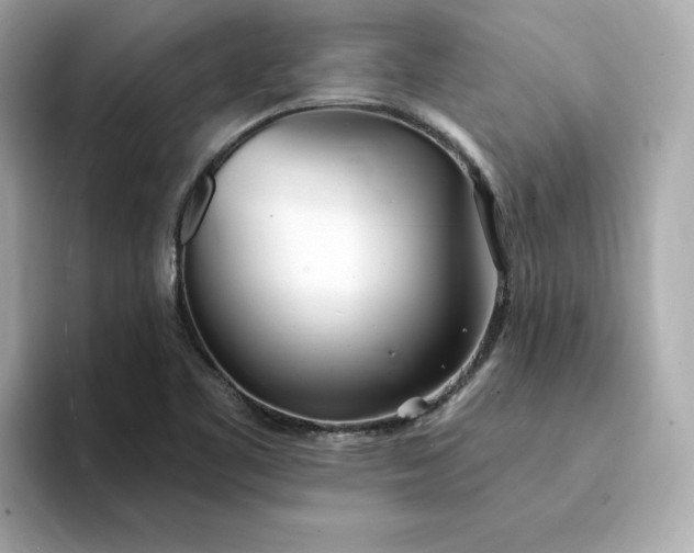 X0000095131461200712211320