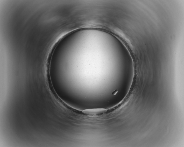 X0000095131463200712211320