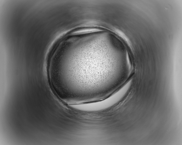 X0000095131464200712211320