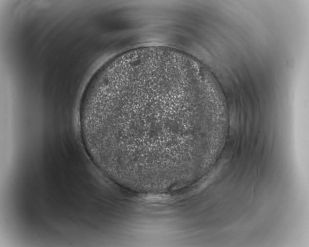 X0000095131466200712211320