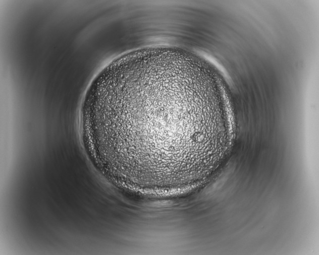 X0000095131467200712211320