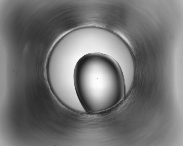 X0000095131468200712211320