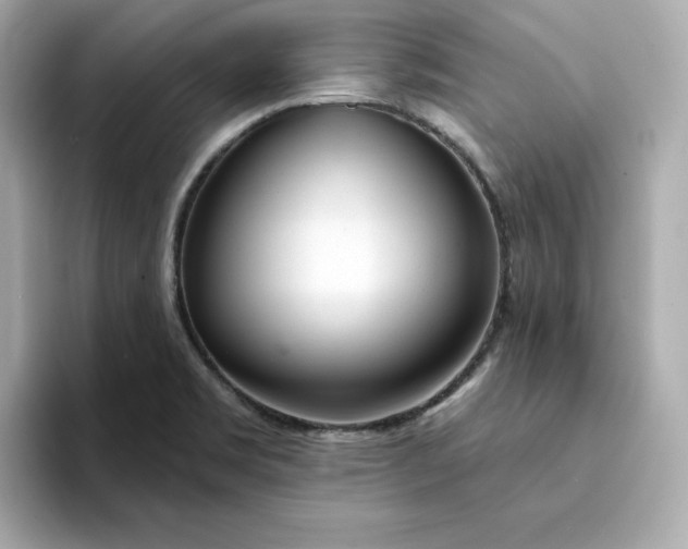 X0000095131469200712211320