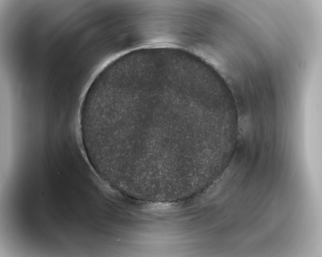 X0000095131470200712211320