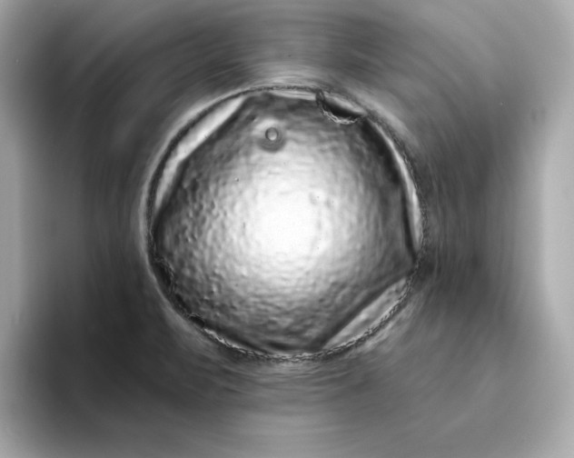 X0000095131471200712211320