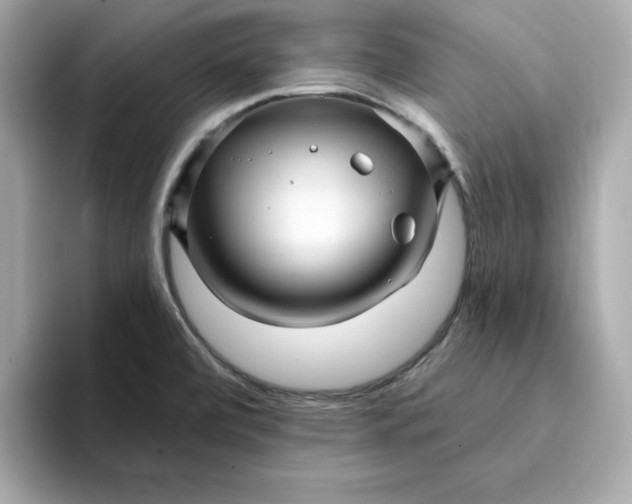 X0000095131472200712211320