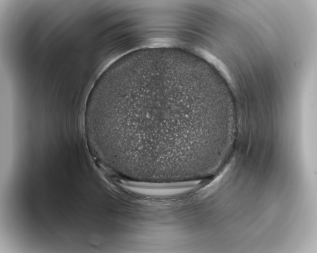 X0000095131473200712211320