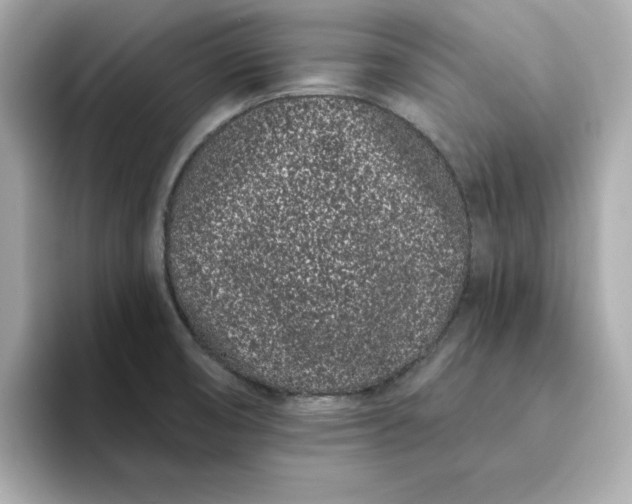 X0000095131474200712211320