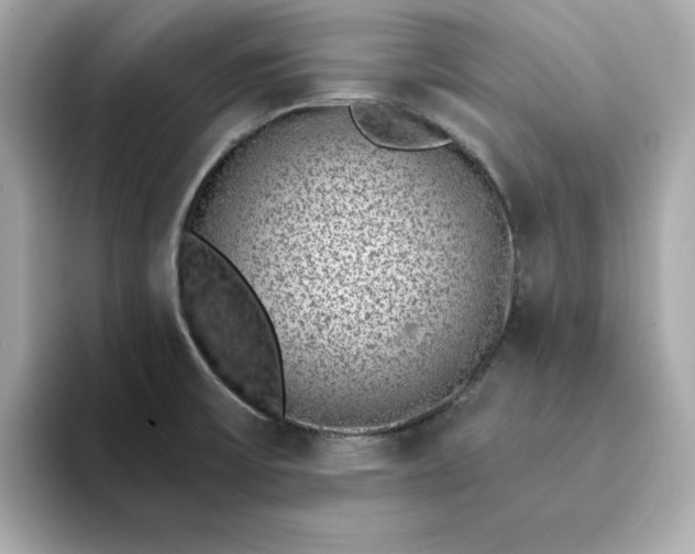 X0000095131475200712211320