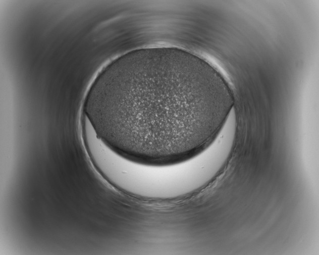 X0000095131476200712211320