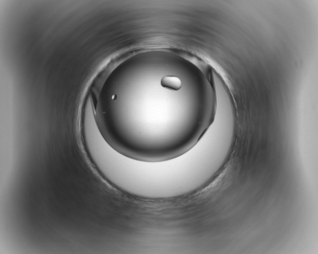 X0000095131477200712211320