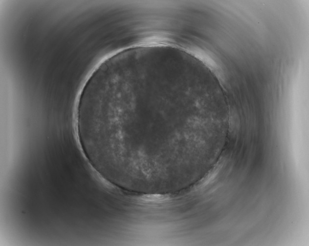 X0000095131478200712211320