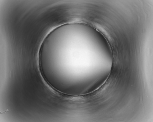 X0000095131479200712211320