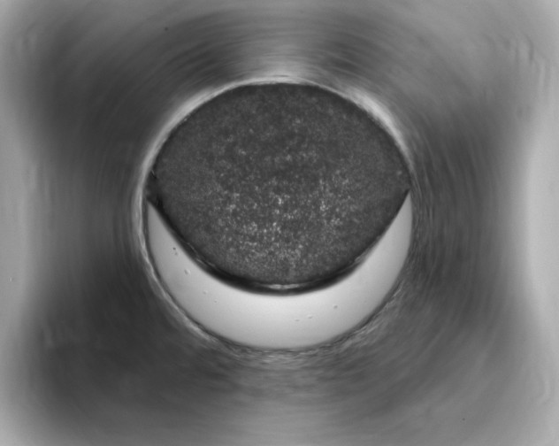 X0000095131480200712211320